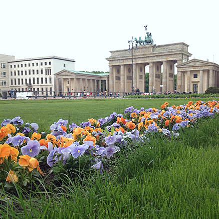 2013-05-10-0847.jpg