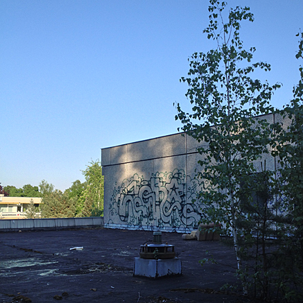 2013-05-19-1904.jpg