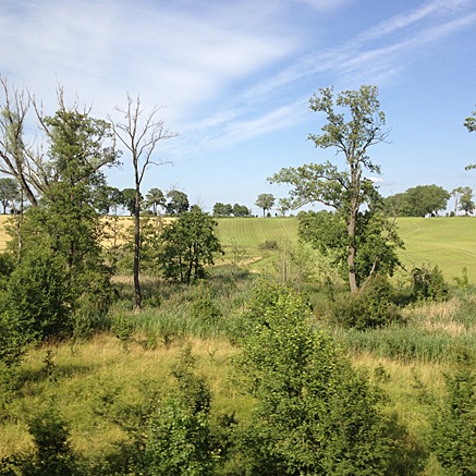 2013-07-10-1652.jpg