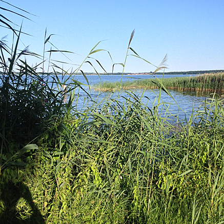 2013-07-21-1844.jpg