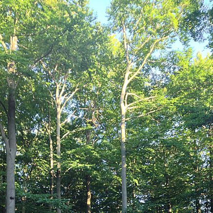 2013-07-21-1930.jpg