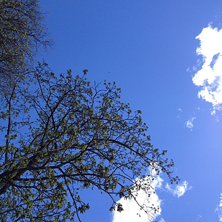 2014-04-15-1532.jpg