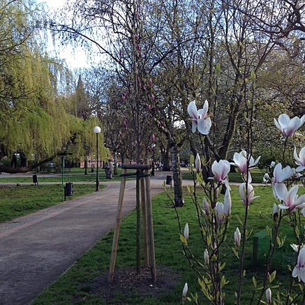 2014-04-15-1650.jpg